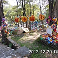 IMG_2021.JPG