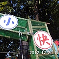 IMG_2060.JPG