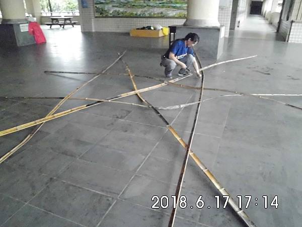 IMG_2524.JPG
