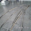 IMG_2525.JPG