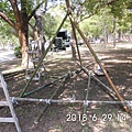 IMG_2550.JPG