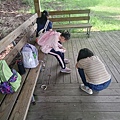20240609_103931.jpg