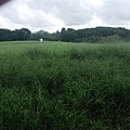 20240609_101054.jpg