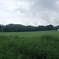 20240609_101348.jpg