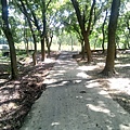 20240704_132410.jpg
