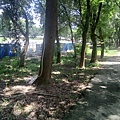 20240704_132141.jpg