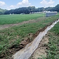 20240704_131953.jpg