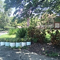20240704_130056.jpg