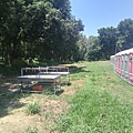 20240704_125613.jpg