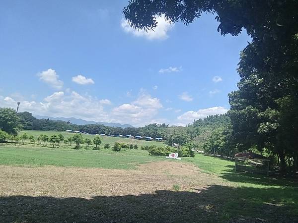 20240704_124504.jpg