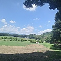 20240704_124504.jpg