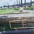 20240704_121318.jpg