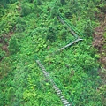 從纜車上看高空美景 (6).jpg