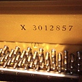 UX 3012857  1979.jpg