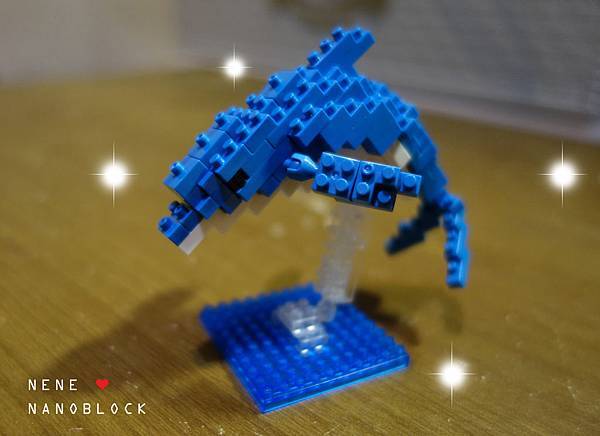 dolphin02.jpg dolphin02.jpg