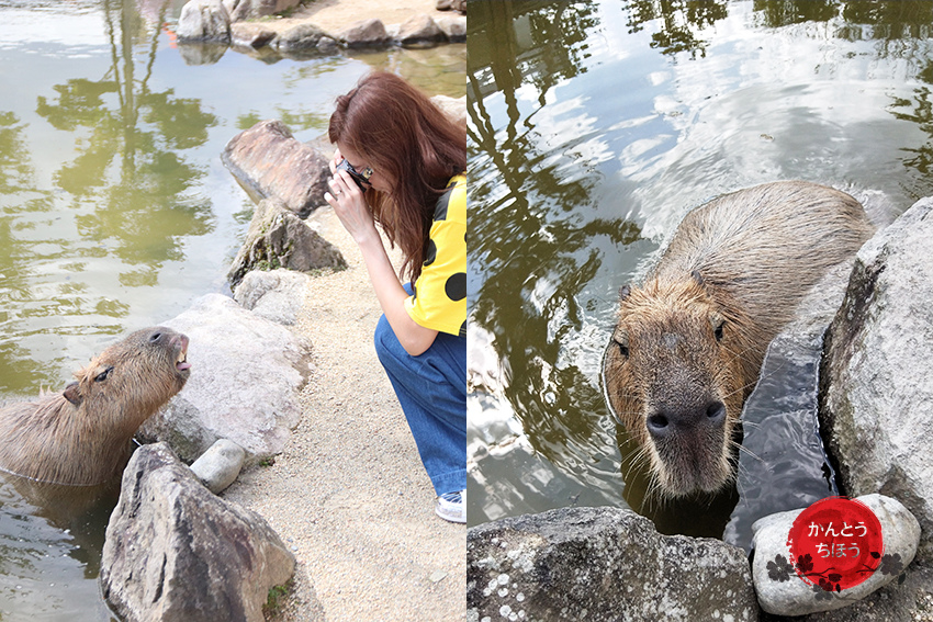 那須動物王國