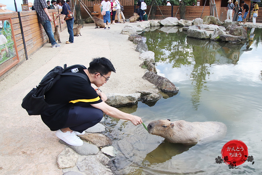 那須動物王國