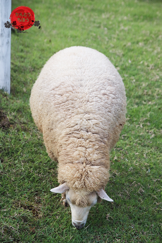 那須動物王國