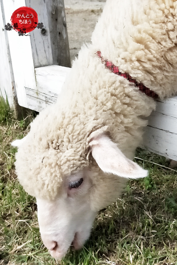 那須動物王國