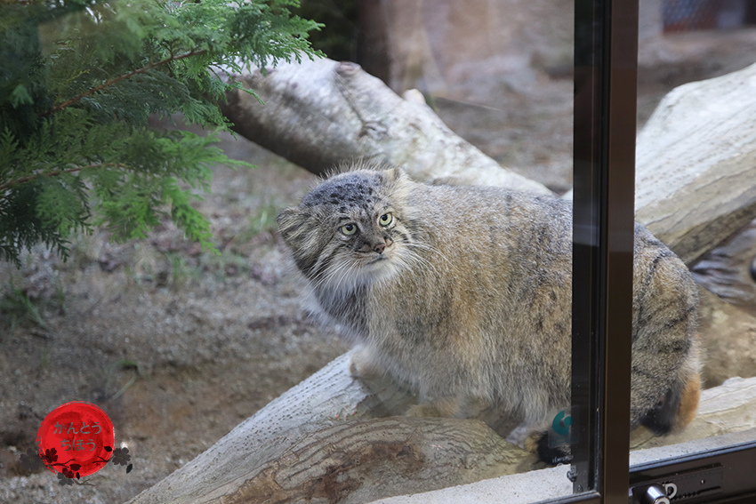 那須動物王國