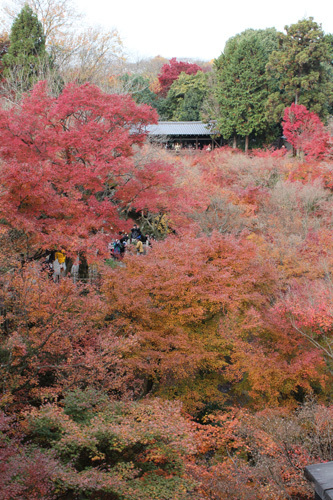 1129 日本東福寺