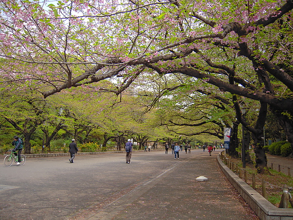 只想靜靜的休息..感受公園裡的一切..