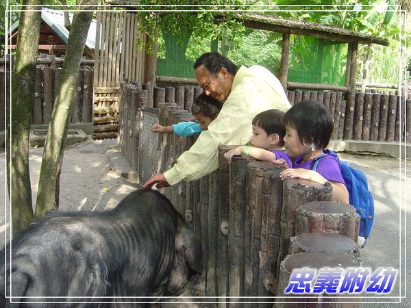 動物園戶外教學 (7).jpg