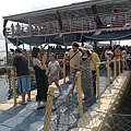 P1010287.JPG