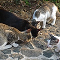 P1010323.JPG