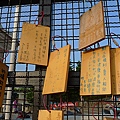 P1010315.JPG