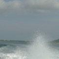 P1010294.JPG