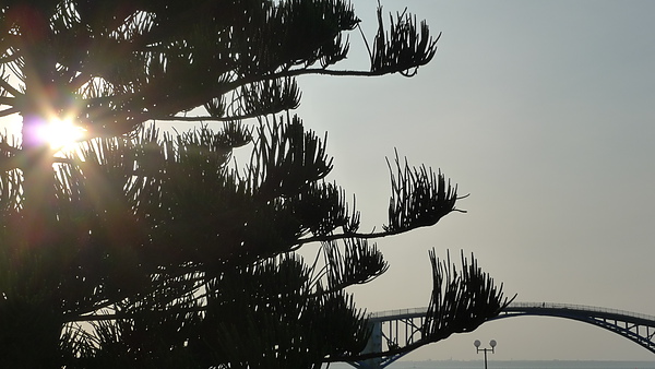 P1010312.JPG