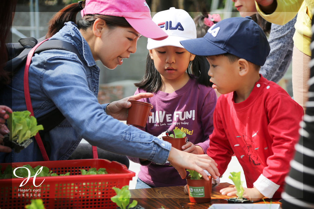 Blog pic 幼兒園戶外紀錄.jpg