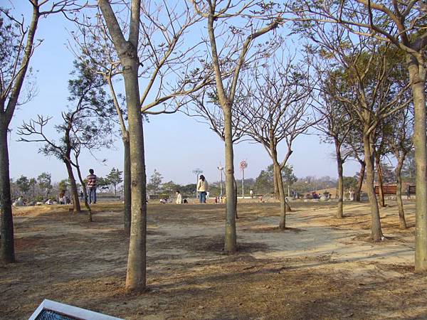 12.台中都會公園一堣