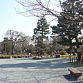 騎車逛嵐山公園3