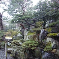 京都御苑18