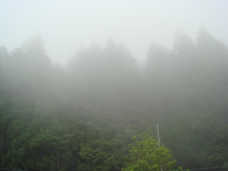 DSC03091.JPG