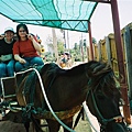 馬車遊園2×°