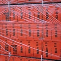 DSCN7112.JPG