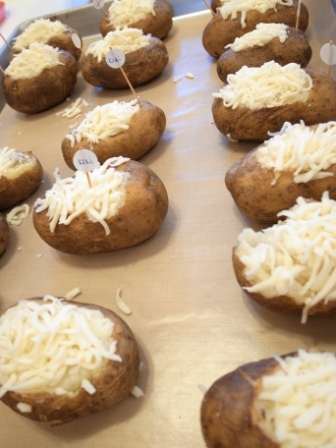 20120726 Potato Mice 043.jpg