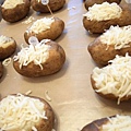 20120726 Potato Mice 043.jpg