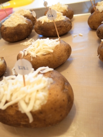 20120726 Potato Mice 044.jpg