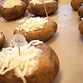 20120726 Potato Mice 044.jpg