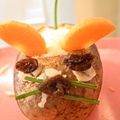 20120726 Potato Mice 047.jpg