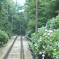 接著我們搭乘登山電車回箱根湯本