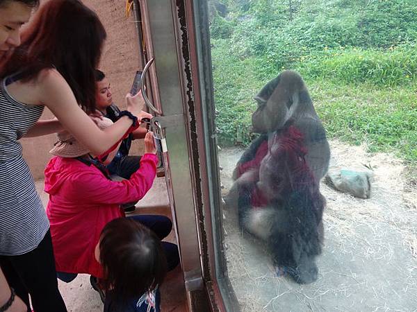 20161118南門補假與低年級動物園 177.jpg