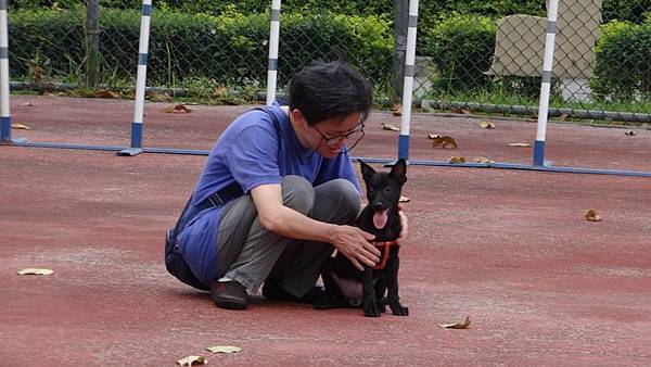 20180411旅遊地點投票與板橋動物之家 036.JPG