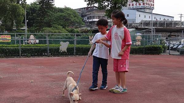 20180411旅遊地點投票與板橋動物之家 084.JPG