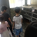 20180411旅遊地點投票與板橋動物之家 098.jpg