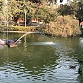 IMG_2313.jpg